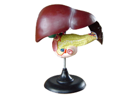 SD-093 33216ʮ֬cKģ